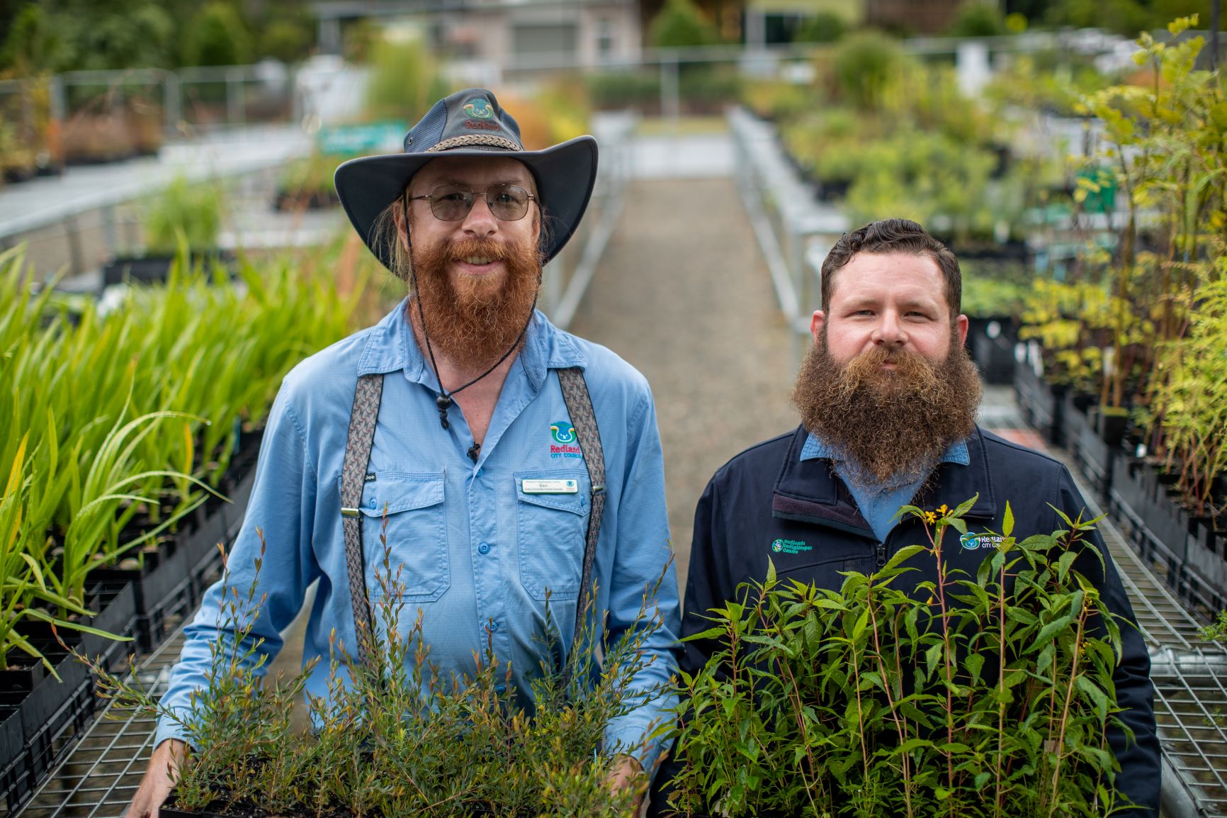 Two nursery hands standing with large slabs of seedlings at the native nursery.