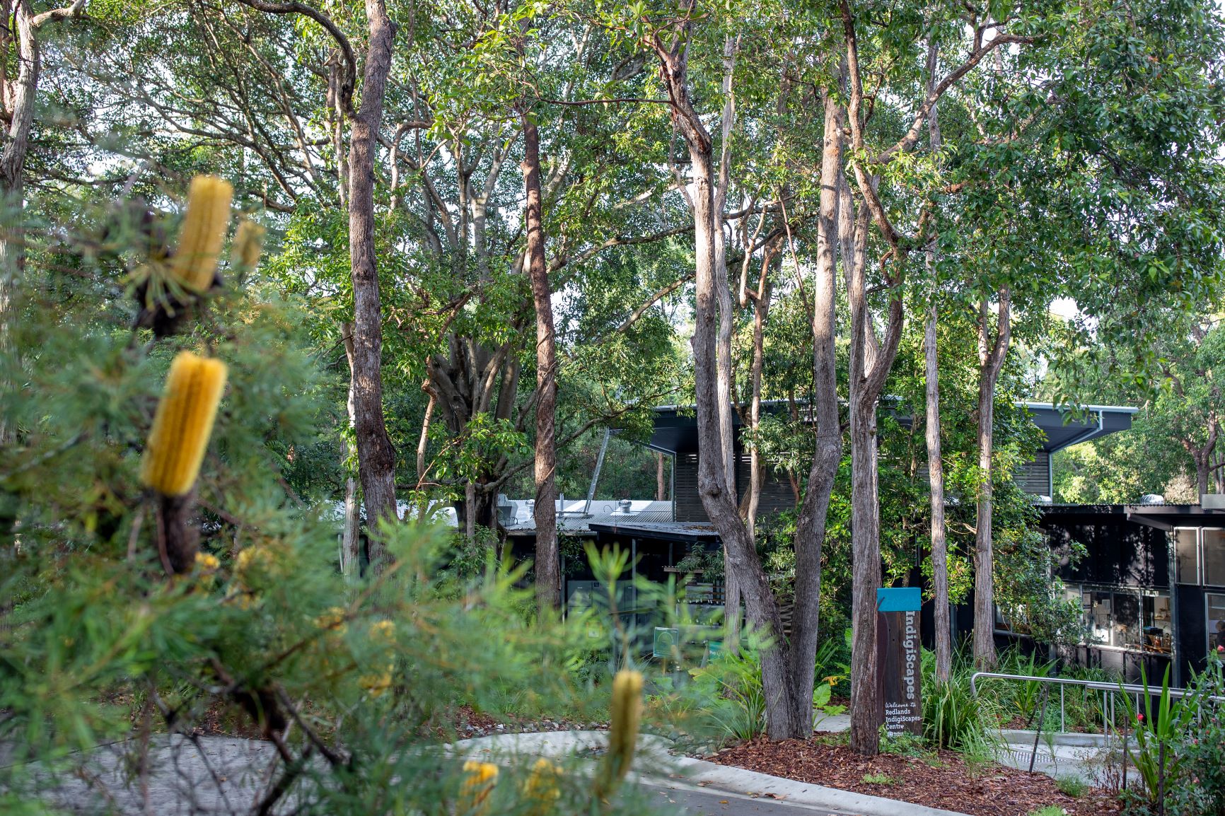 The a building nestled into bushland.